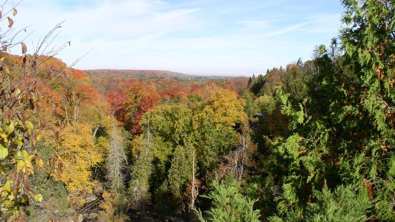 Inglis Falls Autumn Valley View