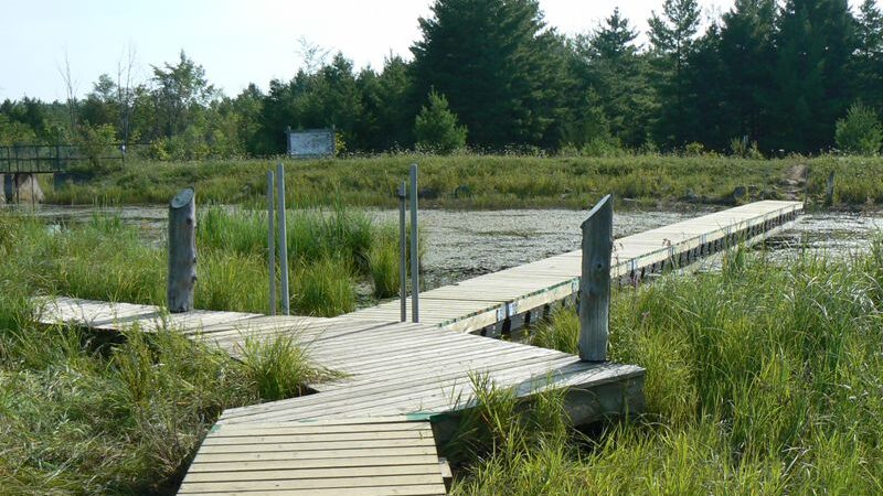 Bognor Marsh Boardwalk