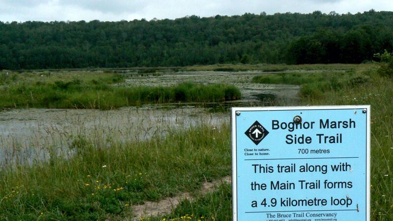 Bognor Marsh Sign