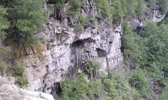 Eugenia Falls Escarpment Wall