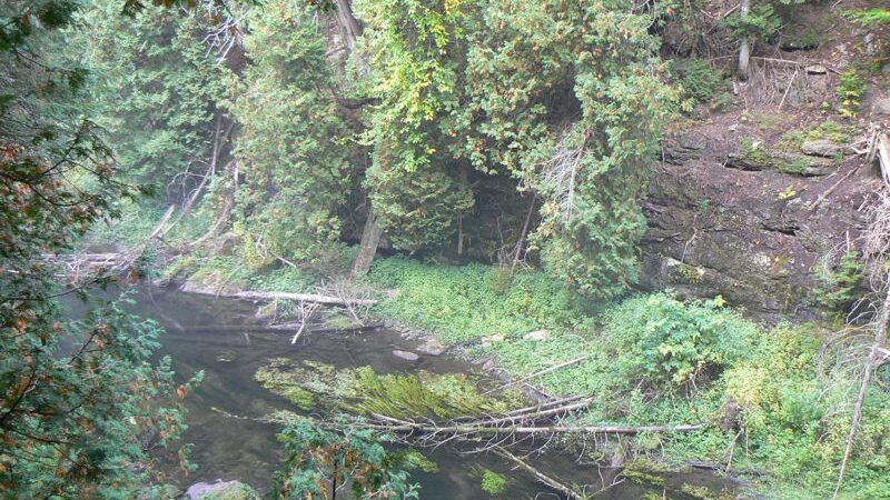 Feversham Gorge Bottom