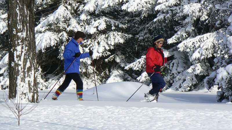 Massie Hills Skiing