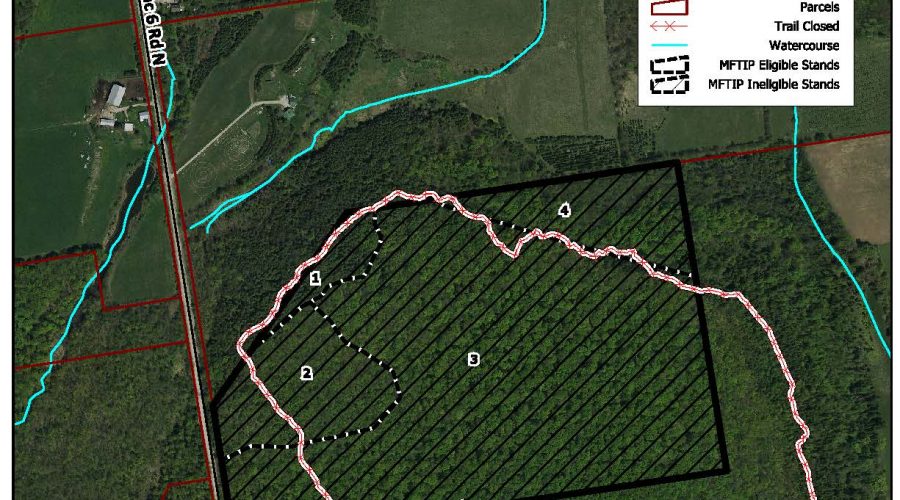 Closure – Sydenham Forest (compartment 164)