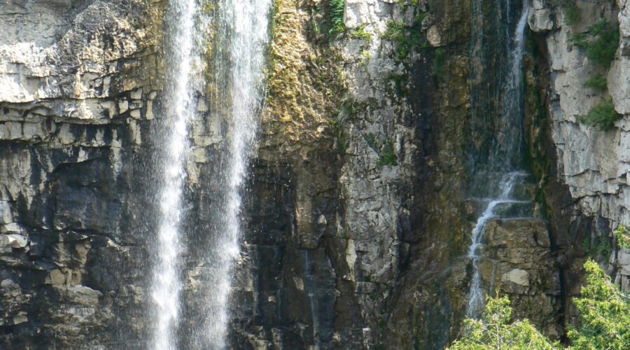 Submit your input for the Eugenia Falls Conservation Area Management Plan