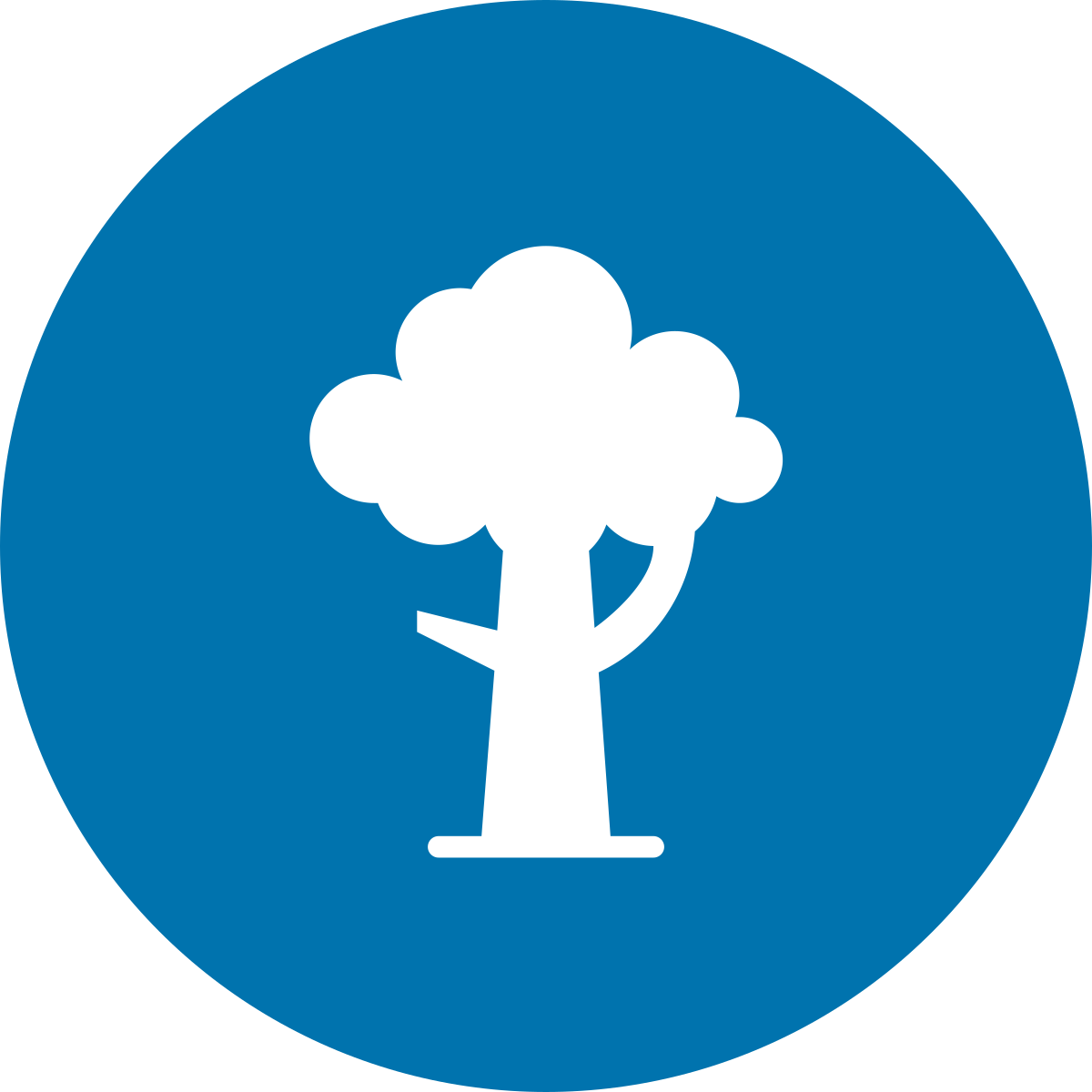 Tree Icon