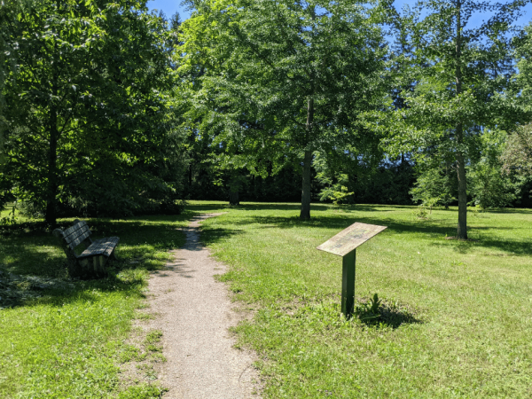Trail in the Inglis Falls Arboretum showing existing pathway, seating area, and interpretive signage among mature trees.